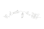 butterfly nature cycle, an Object Graphic by lawoel (Thumbnail 3 of 3)