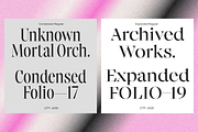 Animal, a Serif Font by Latinotype (Thumbnail 7 of 14)