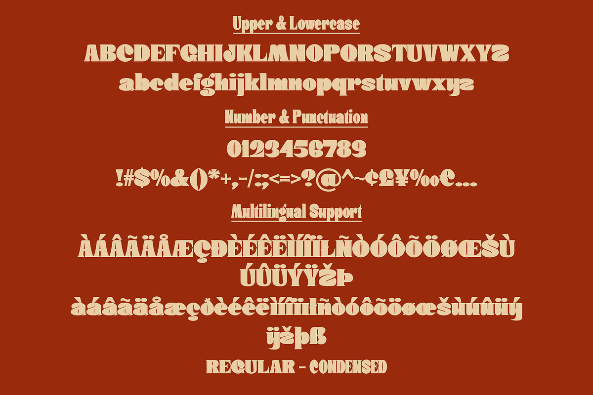Donge | Display Font, a Serif Font by Lemonthe (Photo 12 of 12)
