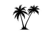 Palm Tree Vector Bundle Pack, an Illustration by Artivon (Thumbnail 20 of 20)