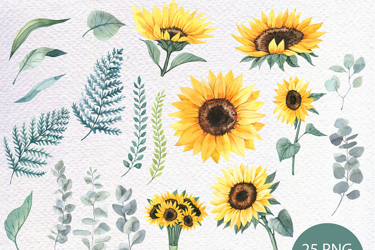 Watercolor Sunflowers Bundle PNG, a Decorative Illustration by PatternPalette (Photo 5 of 12)