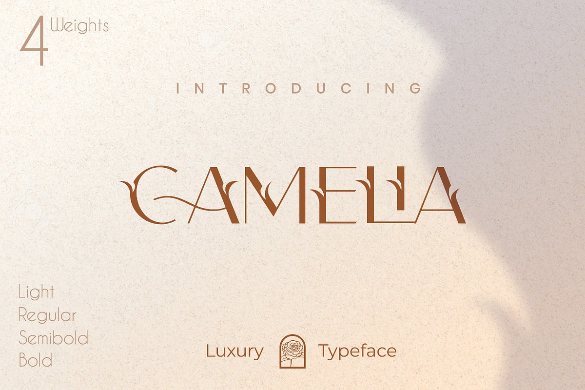 Camelia Sans - Unique Typeface, a Sans Serif Font by CCS Type (Photo 12 of 16)