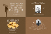 Minimalist Serif Font Bundle, a Serif Font by Perfectype (Thumbnail 3 of 21)