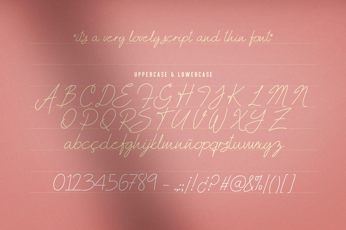 Andrea Script Thin Font preview 2