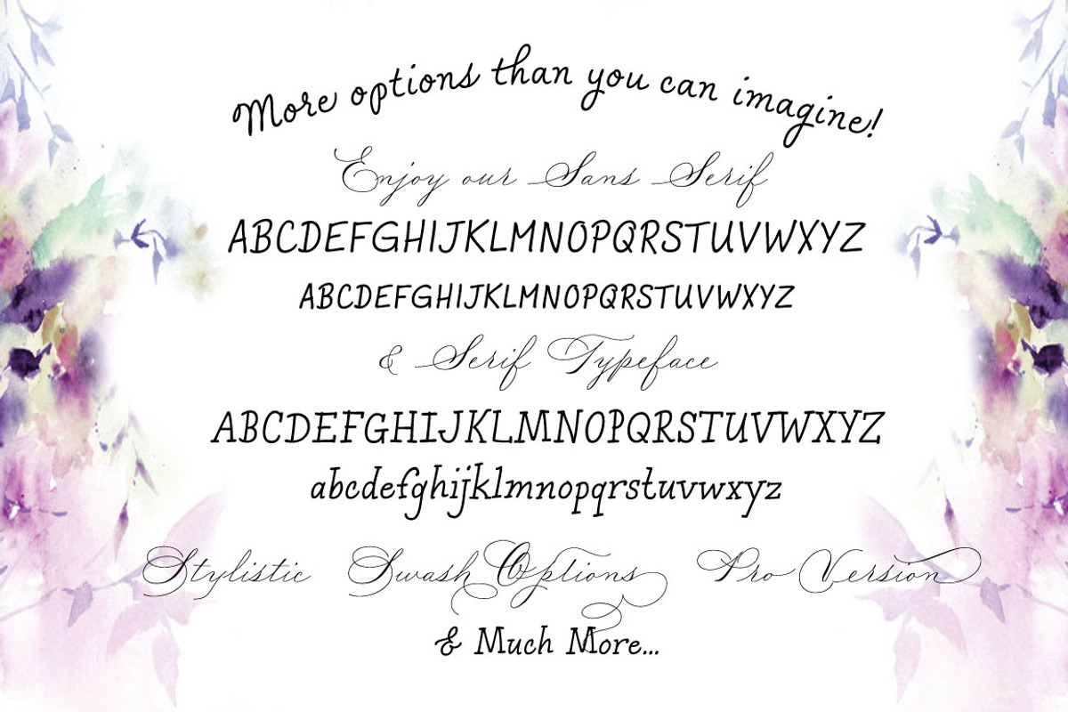 Madison Street Script, a Script Font by STUDIOWAYS (Photo 4 of 4)