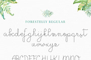 Forestelly familly + swashes, a Script Font by Rad Fonts (Thumbnail 4 of 4)