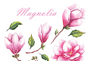 Spring flowers bundle PNG + patterns, an Illustration by Alena Kurian (Thumbnail 10 of 10)