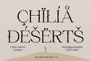 Chilia Unfocus, a Serif Font by Craft Supply Co. (Thumbnail 6 of 8)