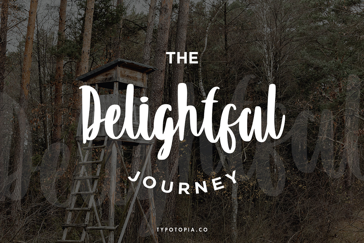 Summeria Handbrush Script Fonts, a Script Font by edukka (Photo 7 of 8)