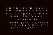 Alkon Modern Serif Typeface, a Serif Font by yaqublekker (Thumbnail 8 of 8)