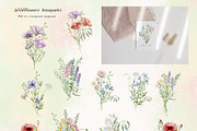 Watercolor Wildflowers Botanical Set, a Decorative Illustration by BarvArt (Thumbnail 5 of 22)