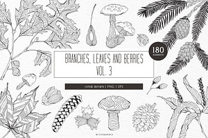 Branches, Leaves And Berries Vol.3