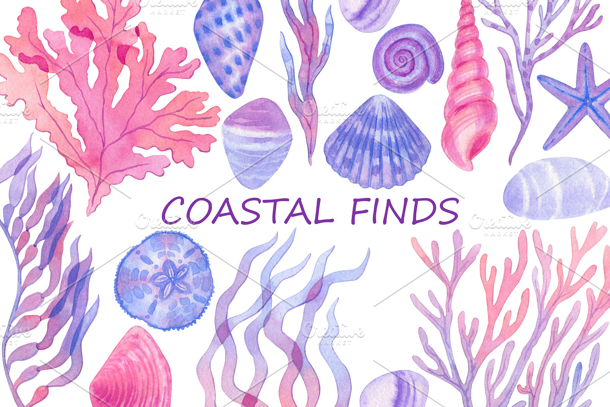 Coastal finds, a Seasonal Illustration by Watercolor life (Photo 1 of 8)