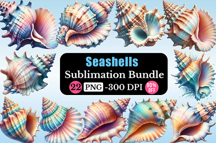 Seashells Clipart, a Graphic by CitraGraphics