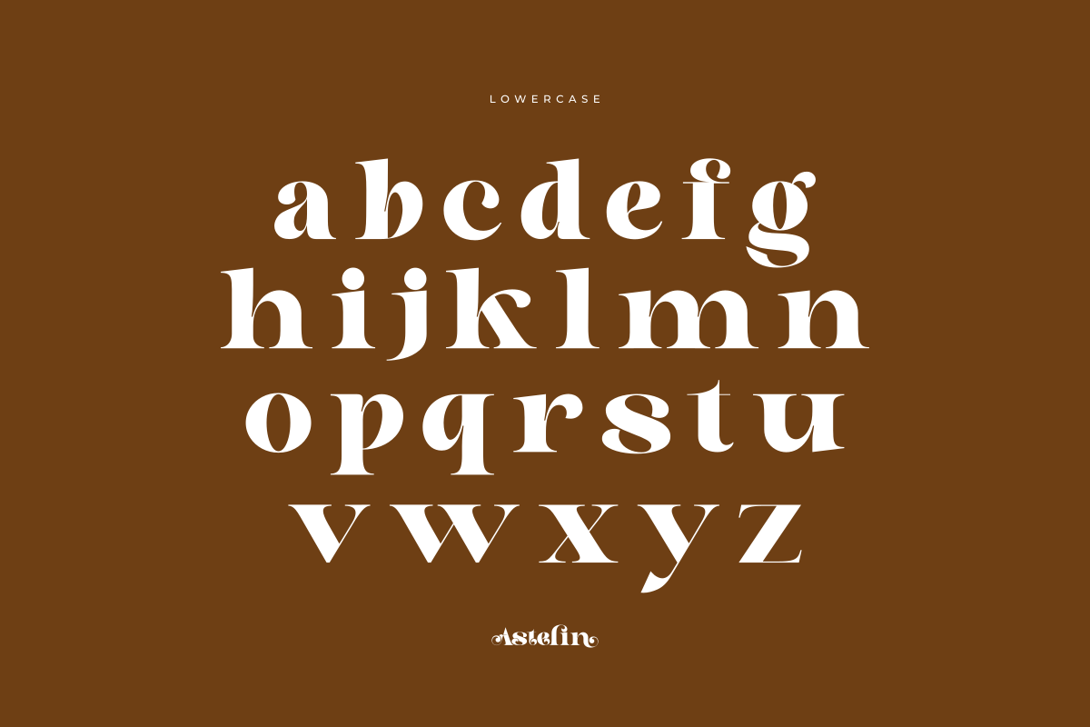 Astelin, a Serif Font by zaaintype (Photo 9 of 15)