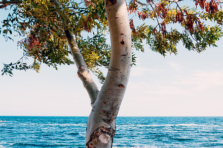 Minimal Seascape preview 6