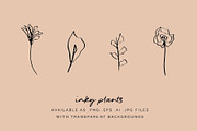 Floral Botanical Plant Illustrations, an Icon by CreativeWilderness (Thumbnail 3 of 11)