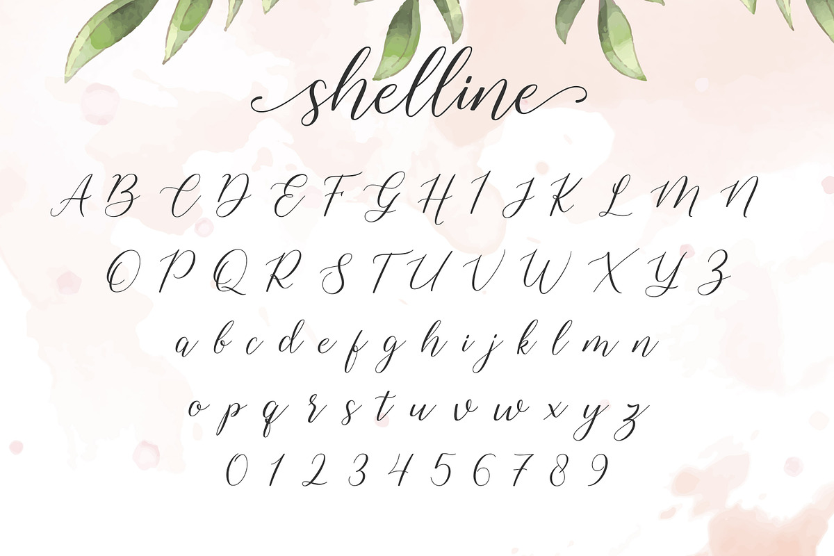 Shelline - Romantic Script, a Script Font by Almarkhatype (Photo 6 of 11)