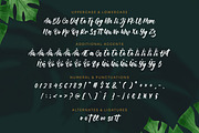 Bettawork - Brush Script Bold, a Script Font by Almarkhatype (Thumbnail 9 of 10)