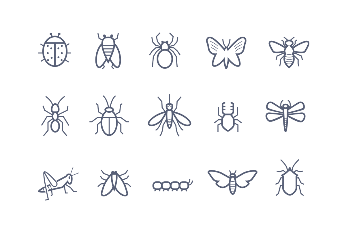15 Insect Icons