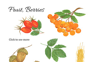 Autumn/Fall Clipart Elements