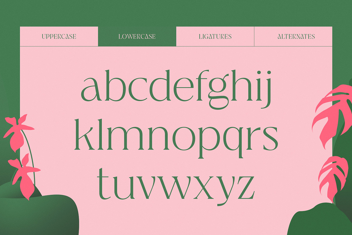 Jaella - Modern Serif Font, a Serif Font by creativemedialab (Photo 12 of 15)