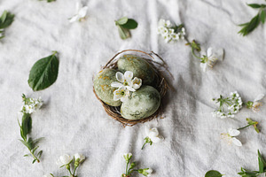 Easter flat lay. Stylish easter eggs in nest, flowers and cherry, a Holiday Photo by Sonjachni