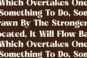 Beatnik Garden Decorative Serif, a Serif Font by Letterena Studios (Thumbnail 9 of 15)