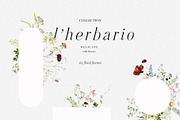 l'Herbolario - Wild Floral Graphics, an Illustration by studioequinox (Thumbnail 7 of 14)