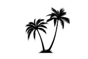 Palm Tree Vector Bundle Pack, an Illustration by Artivon (Thumbnail 10 of 20)
