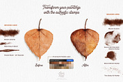 AquaReal Procreate Watercolor Set, a Brush Add-On by Lisa Glanz (Thumbnail 7 of 16)