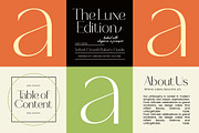 Selario Elegant Modern Sans Serif, a Sans Serif Font by timelesstype.co (Thumbnail 7 of 15)