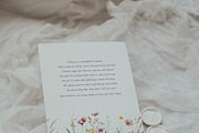 Waterolor Floral Borders Bundle, a Decorative Illustration by Lana Elanor (Thumbnail 63 of 97)