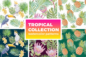 Watercolor Tropical Patterns.