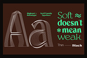 Mighast | 45 Fonts, a Serif Font by MasaType (Thumbnail 12 of 13)