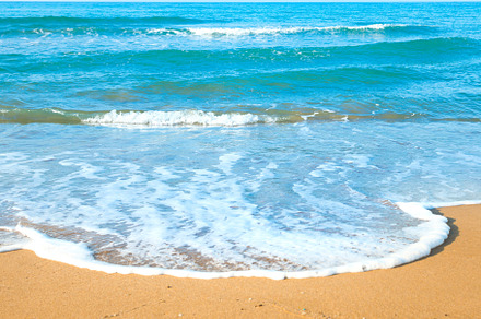 Tropical beach with sand and sea featuring beach, sand, and wave, a Nature Photo by Vapi