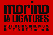 Cas Drumhead Display Condensed, a Sans Serif Font by Casloop Studio (Thumbnail 5 of 15)