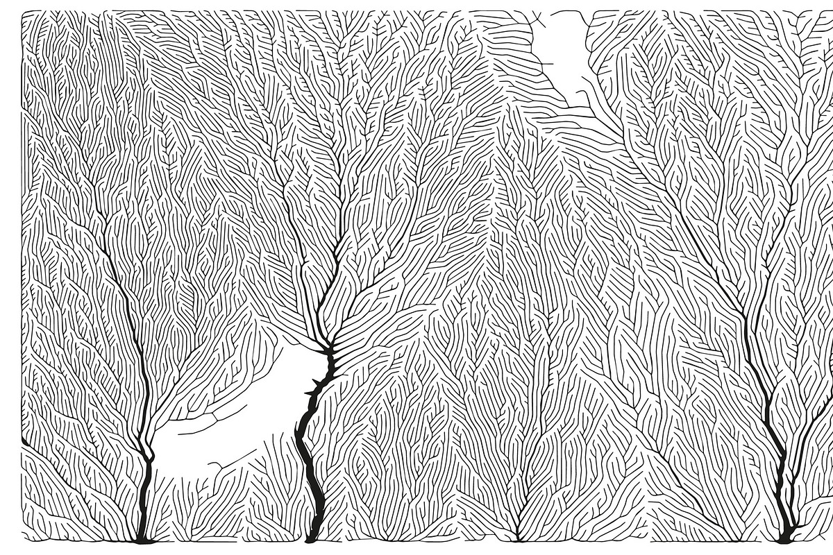 Growth - 50 Backgrounds, a Texture Graphic by GarryKillian (Photo 34 of 51)