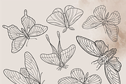 Insects Clipart - Black Line, PNG, an Illustration by Siriliadka Dreams (Thumbnail 9 of 9)