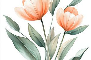 Elegant Peach Tulips Botanical Art S, an Abstract Photo by Pixeness Studio