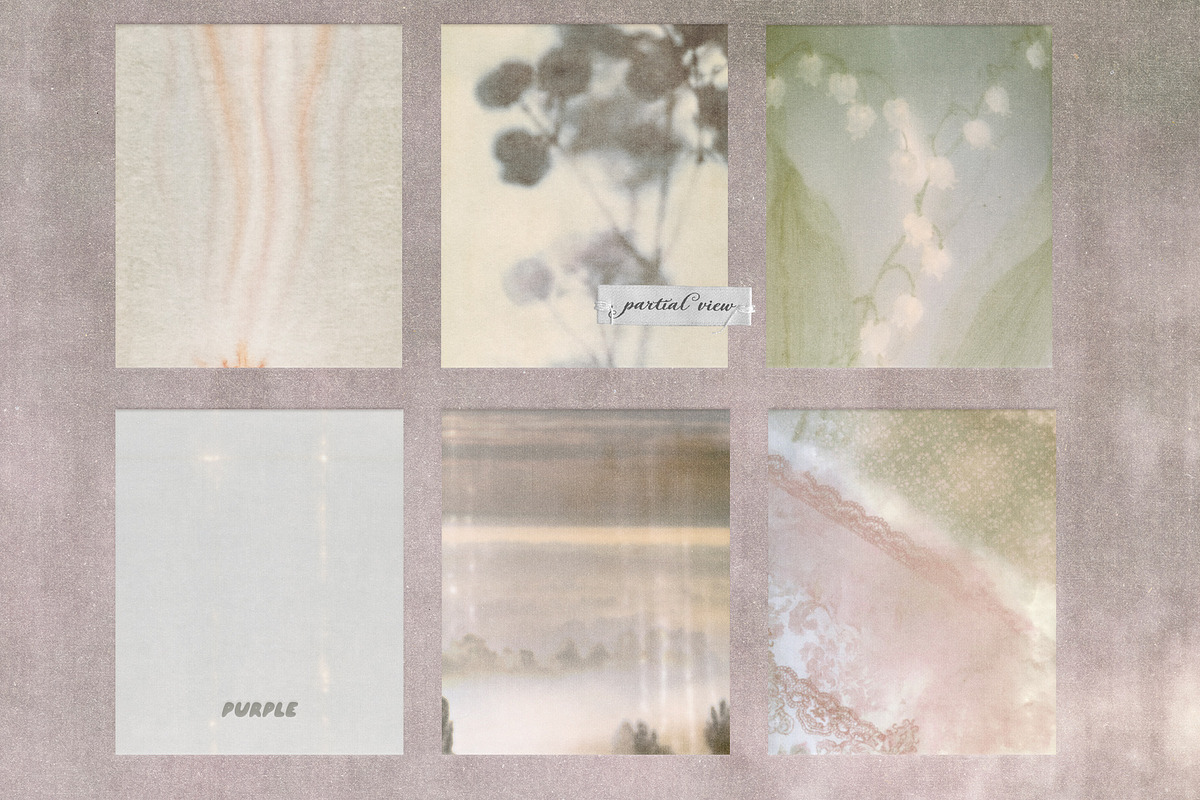 Partial View - Nature Backgrounds, a Background Graphic by Purple (Photo 8 of 12)