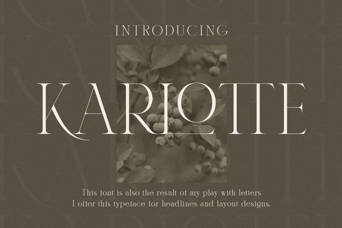 Karlotte - Elegant Serif Font, a Serif Font by Dora Typefoundry (Photo 25 of 25)