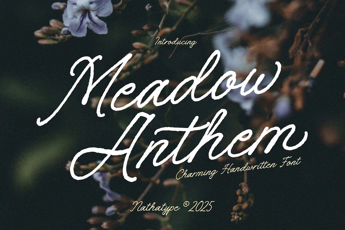 Meadow Anthem, a Handwritten Font by Nathatype (Photo 1 of 11)