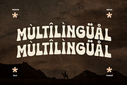 Huston Western Display Font, a Sans Serif Font by Storytype Studio (Thumbnail 11 of 15)