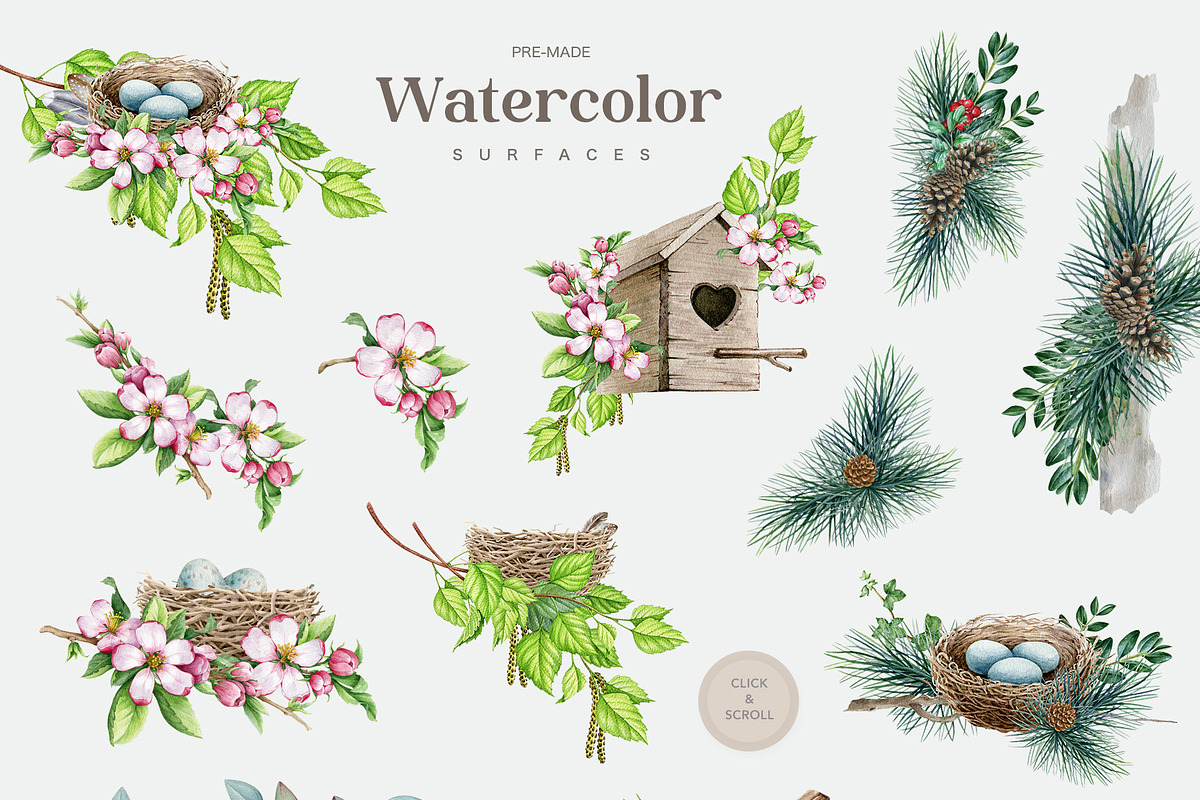 Forest Birds Watercolor Set, an Animal Illustration by AnitaPol (Photo 13 of 26)