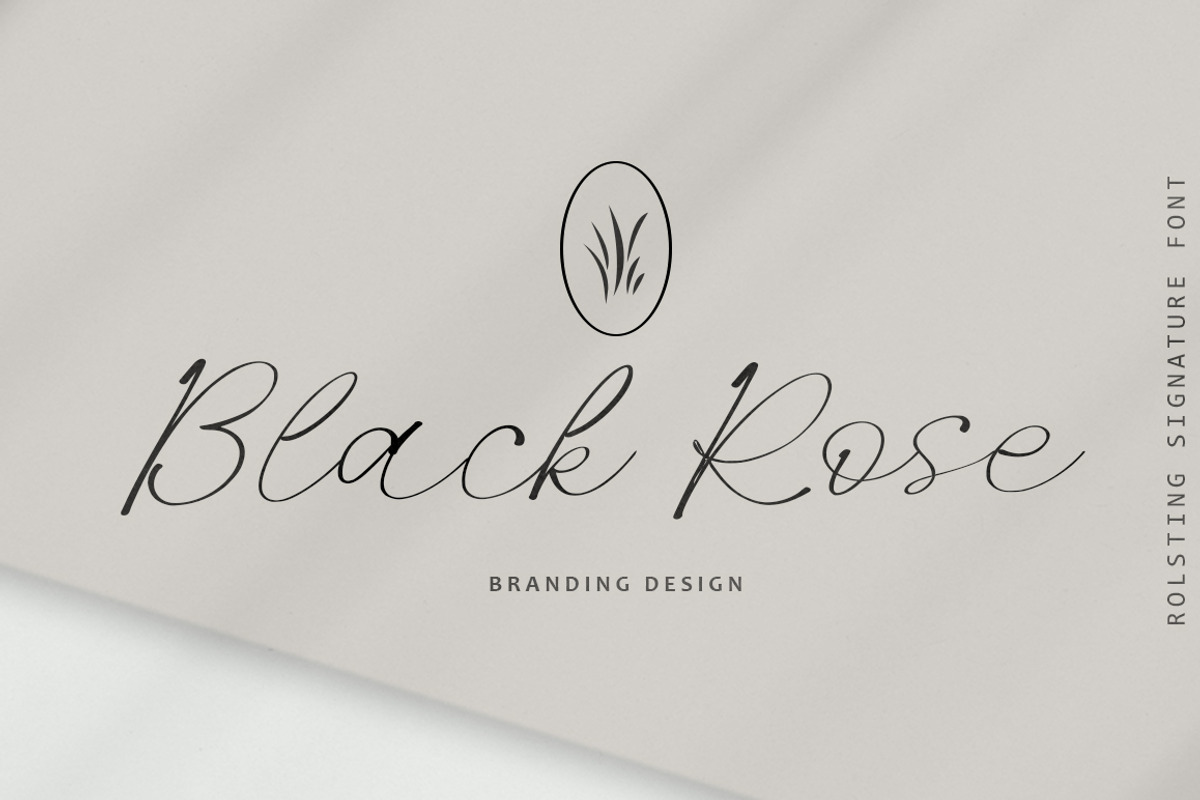 Rolsting Script, a Script Font by Rastype (Photo 5 of 11)