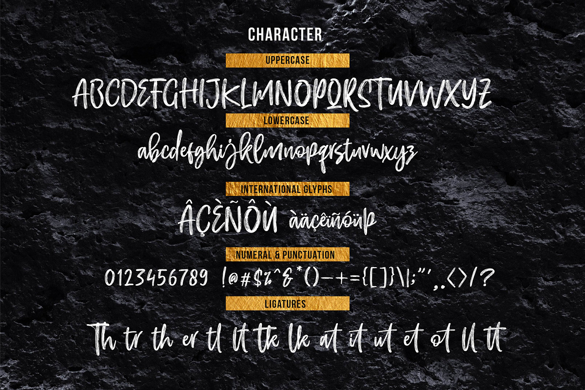 EFRISILLA - Handbrush Script preview 8