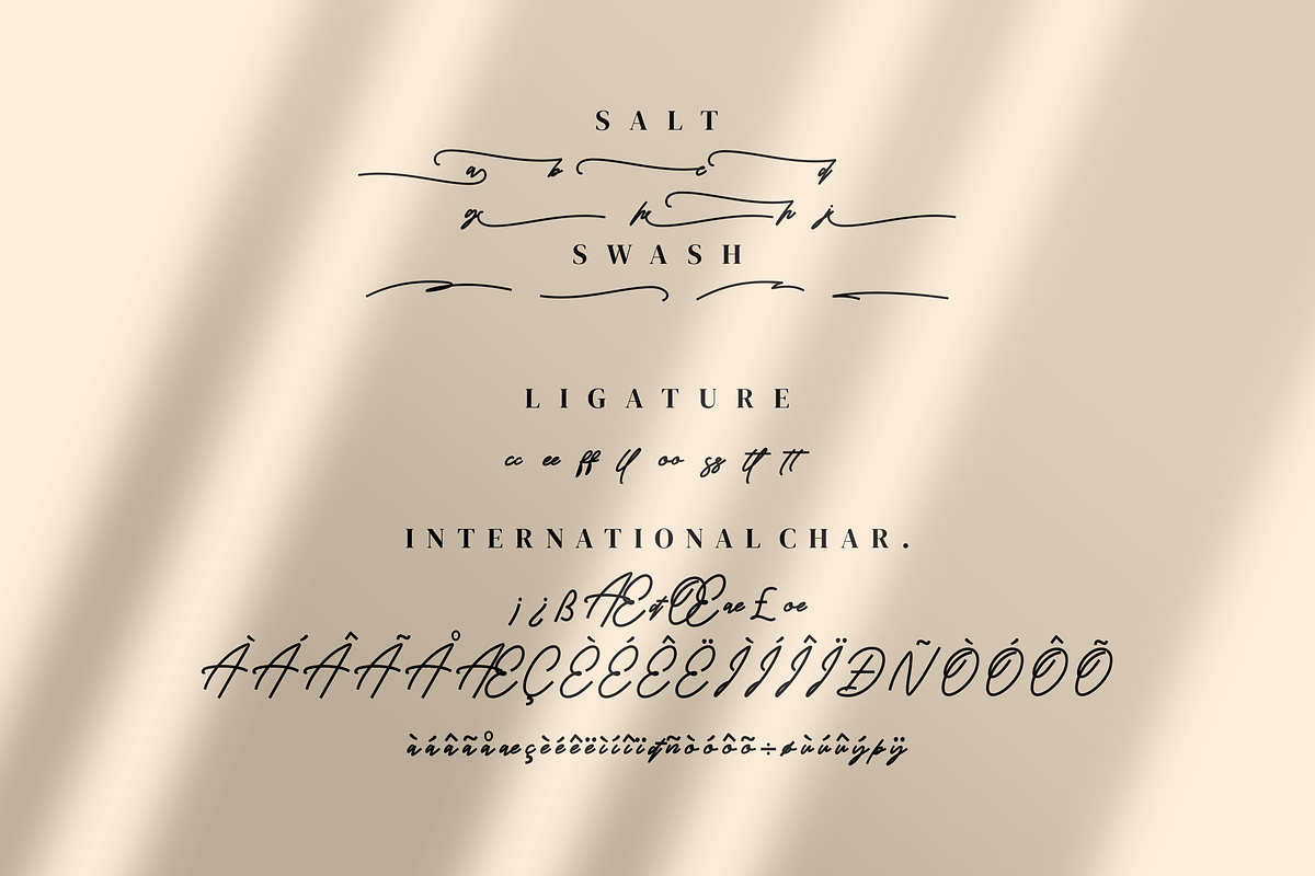 Ramsay - Monoline Script style font, a Script Font by mahstudios (Photo 4 of 8)