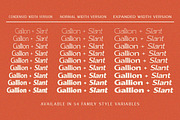 Gallion Pro, a Serif Font by MasaType (Thumbnail 11 of 11)