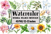 Botanical Wellness Watercolor, an Illustration by Design Market (Thumbnail 1 of 3)